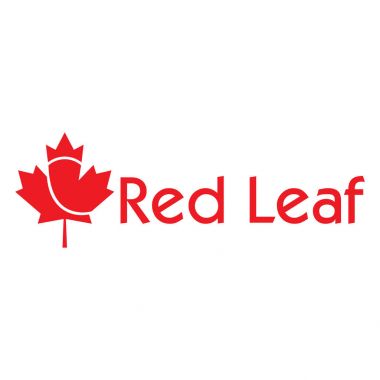 Kırmızı akçaağaç yaprağı logo tasarımı.