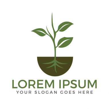 Vektör Ağaç kökleri logo tasarım öğesi ile.