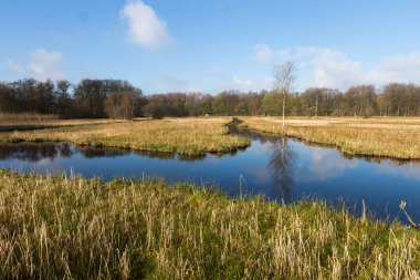 The Oeverlanden at Amstelveense Poel, a marsh area with a rich natural diversity including many birds, wild orchids and other rare plants. clipart