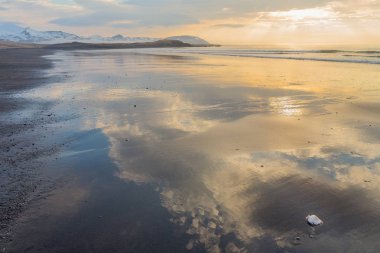 Kabukları ve gün batımında akşam gökyüzünün yansımaları ile Brimilsvellir plajda su hattı