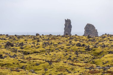 Lav alanı yemyeşil yeşil yosun ve engebeli sahil uçurumlarda 