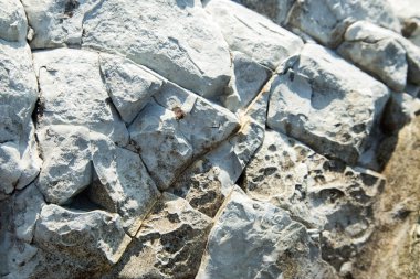 Stone texture background/Detail of sand stone texture/Natural slate stone background texture/Stone abstract background/Colorful natural stone background/Rock texture and background/Stone/