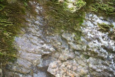 Stone texture background/Detail of sand stone texture/Natural slate stone background texture/Stone abstract background/Colorful natural stone background/Rock texture and background/Stone/