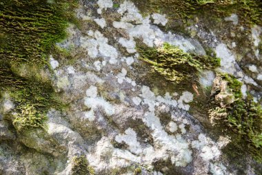 Stone texture background/Detail of sand stone texture/Natural slate stone background texture/Stone abstract background/Colorful natural stone background/Rock texture and background/Stone/
