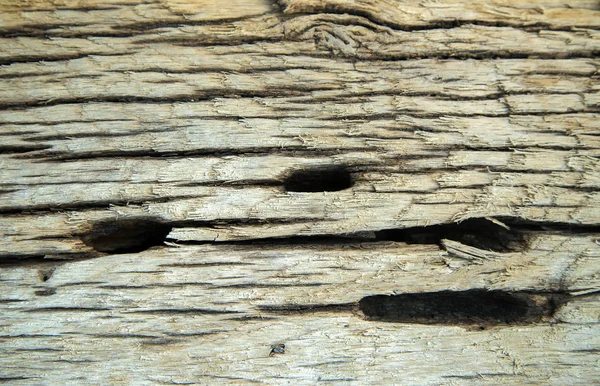 Wood Texture Natural Pattern — Stock Photo, Image