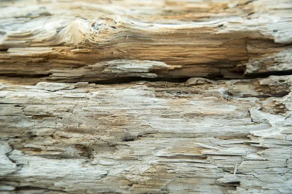 Trästruktur Med Naturligt Mönster — Stockfoto