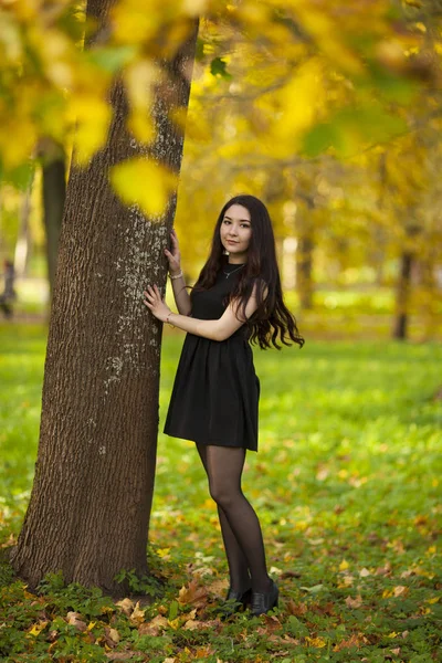 Retrato de una hermosa chica rusa en el parque de otoño — Foto de Stock