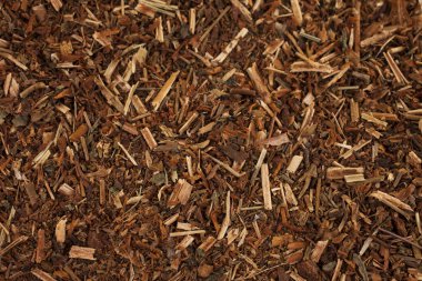 Arka plan: otlar Hypericum koleksiyonu kurutulmuş