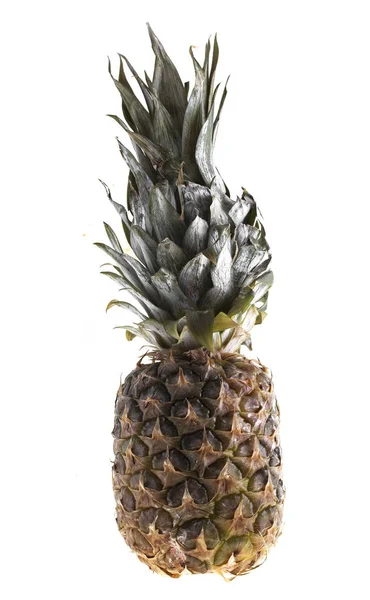 Ananas på en vit bakgrund — Stockfoto
