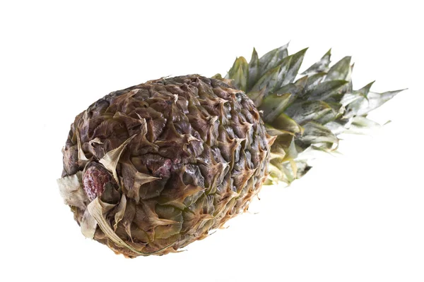 Ananas på en vit bakgrund — Stockfoto