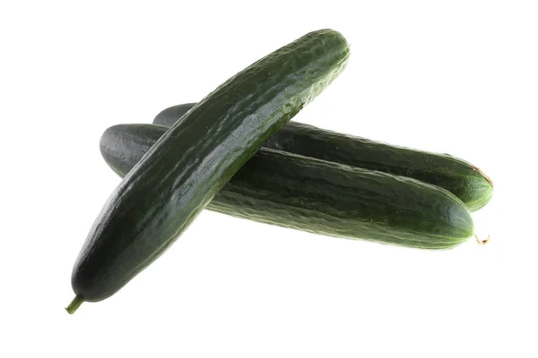 Three long-bodied cucumbers on a white background — Stock Photo, Image