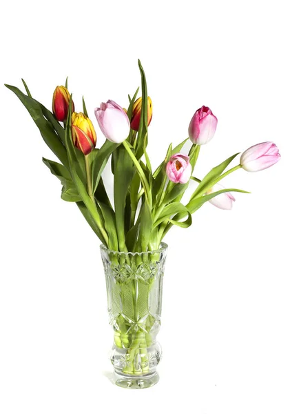 Boeket tulpen in een vaas kristal op een witte achtergrond — Stockfoto