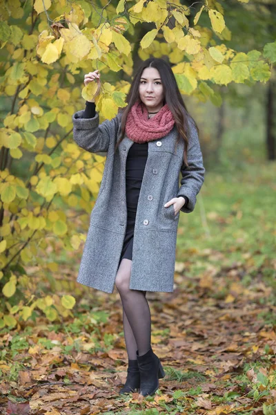 Retrato Una Hermosa Chica Rusa Parque Otoño — Foto de Stock