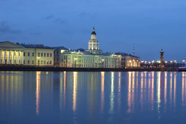 Russland Petersburg Museum Der Kunstkamera — Stockfoto