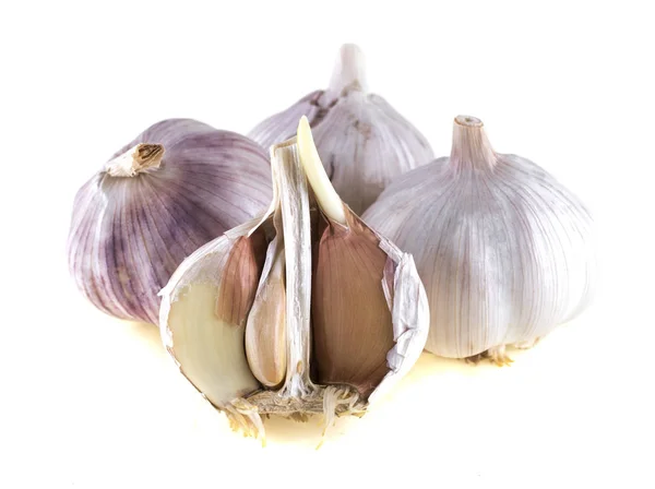 Garlic White Background — Stock Photo, Image