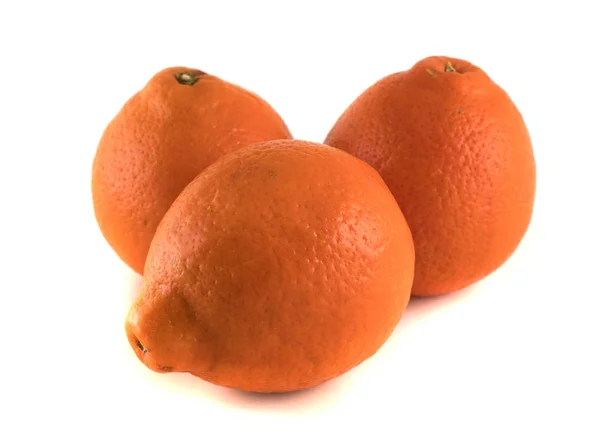 Mineola Mandarins Isolado Sobre Fundo Branco — Fotografia de Stock