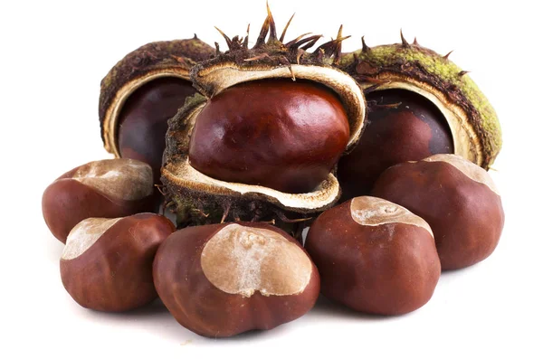 Chestnut Fruits White Background — 스톡 사진