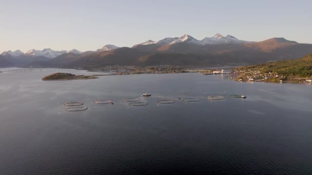 Aquaculture Farm Sunrise Inn Norway — Stock Video