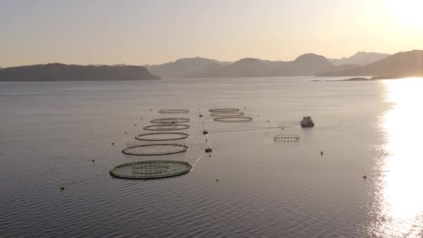 Een Aquaculture Fish Farm Vroege Morgen — Stockvideo