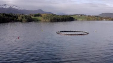 Balıkçılık Balık Çiftliği Kalemi Yiyecek için Balık Stoklarını Tutmakta Kullanılıyor