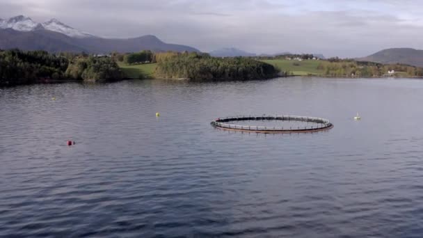 Una Pluma Piscifactoría Acuicultura Utilizada Para Almacenar Poblaciones Peces Para — Vídeo de stock