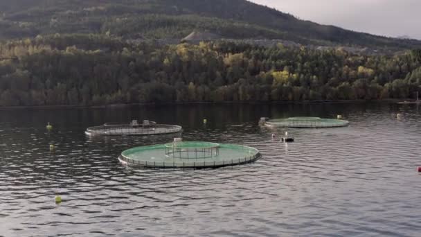 Ett Vattenbruksjordbruk Som Används För Att Hålla Fiskbestånd För Livsmedel — Stockvideo