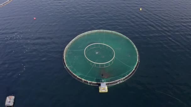 Parc Piscicole Aquaculture Utilisé Pour Détenir Des Stocks Poisson Pour — Video