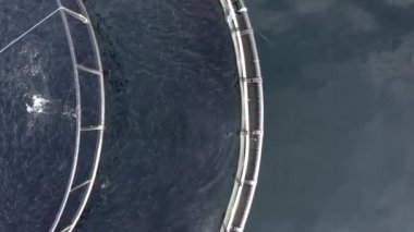 Bir Su Kültürü Balık Çiftliği Kuş Gözü Görünümü