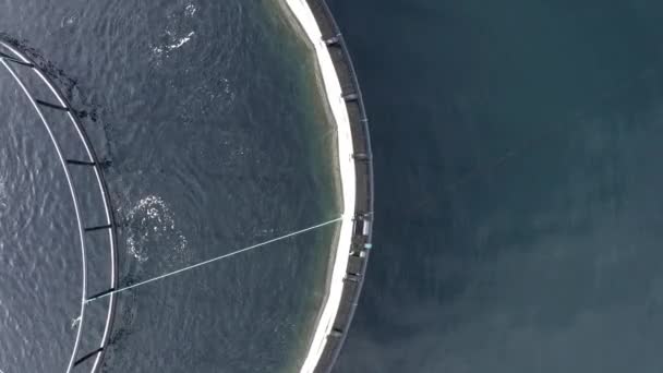 Vista Olho Pássaro Uma Fazenda Peixes Aquicultura Bacalhau Pollock — Vídeo de Stock