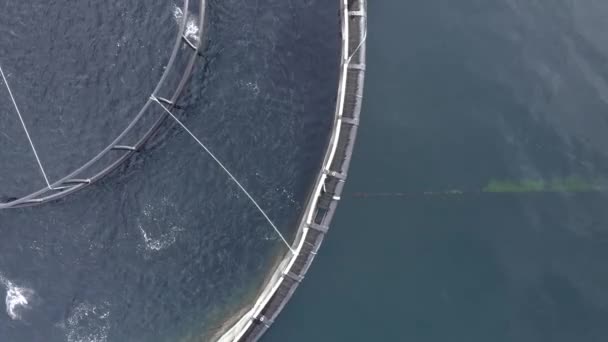 Bird Eye View Aquaculture Fish Farm — Stock Video