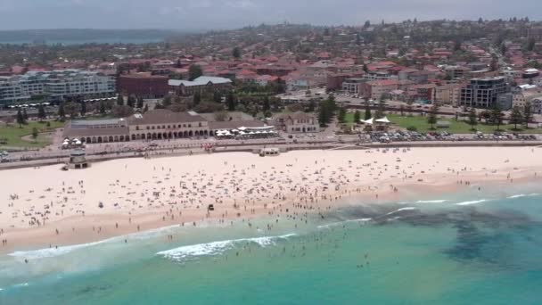 Bondi Beach Berömd Surfing Plats Nära Sydney Från Luften — Stockvideo