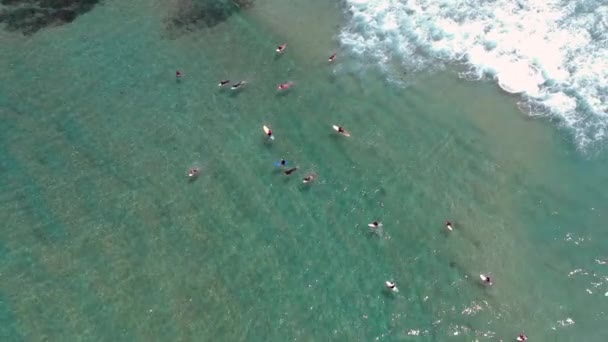 Surfers Στο Bondi Beach Στην Αυστραλία — Αρχείο Βίντεο