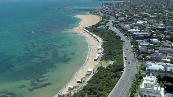 Stranden Dendy Street Melbourne Sett Från Luften Med Melbourne Skyline — Stockvideo