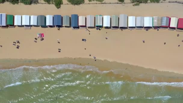 Bird Eye View Dendy Street Beach Huts Brighton Melbourne — Stock Video