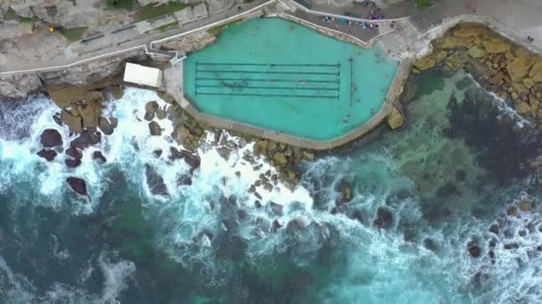 Bagni Bronzo Una Piscina Acqua Salata Australia Vista Volo Uccello — Video Stock