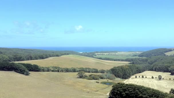 Australische Outback Farmland Luftüberführung Sommer — Stockvideo