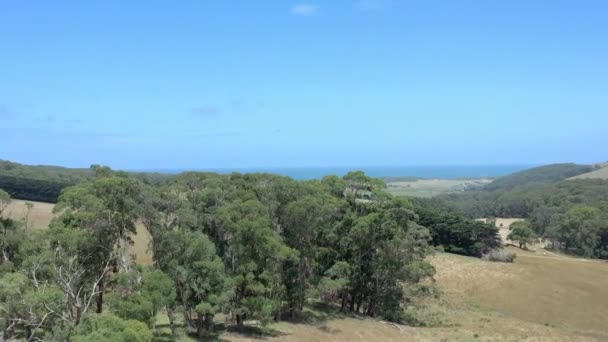 Survol aérien des terres agricoles de l'Outback australien en été 