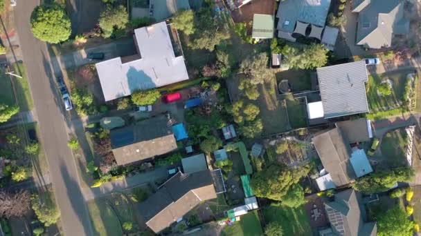 Maisons Banlieue Australie Vue Aérienne Des Rues Typiques Quartier — Video