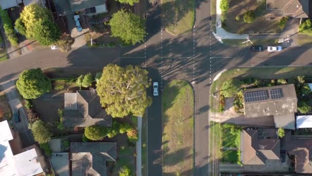 Hus Förorten Australien Flygfoto Typiska Gator Och Grannskap — Stockvideo
