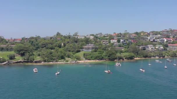 Milk Beach Lugar Popular Para Nadar Puerto Sydney Durante Verano — Vídeos de Stock