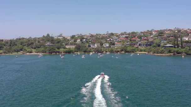 Катер Heading Milk Beach Пригородах Сиднея Харбура — стоковое видео
