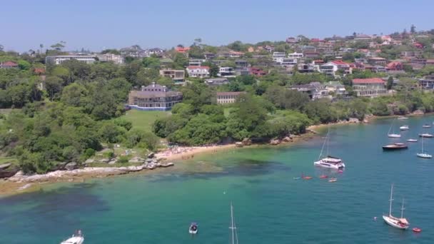 Milk Beach Populär Badplats Sydney Harbour Sommaren — Stockvideo