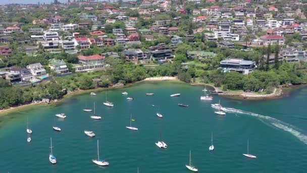 Παραλία Γάλακτος Ένα Δημοφιλές Σημείο Κολύμβησης Στο Λιμάνι Του Σίδνεϊ — Αρχείο Βίντεο