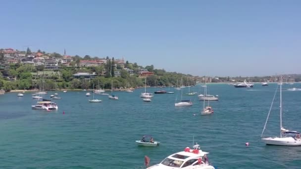 挤奶泳滩夏季悉尼港受欢迎的泳滩 — 图库视频影像
