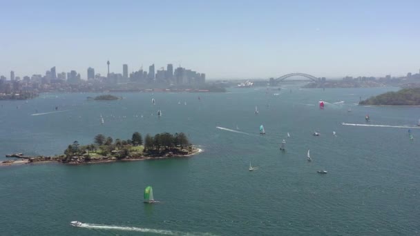 Iates Barcos Porto Sydney Verão Voando Sobre Shark Island — Vídeo de Stock