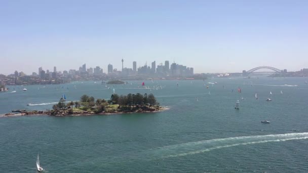 Yachts Bateaux Dans Port Sydney Été Survoler Shark Island — Video