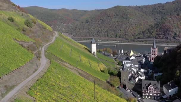 Pittoreske Stad Bacharach Aan Rijnkust Duitsland — Stockvideo