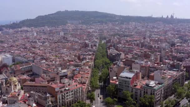 Grand Barcelona Treelined Street Bustling Gothic City — стокове відео