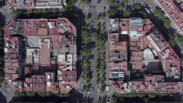 Coches Que Conducen Través Ciudad Barcelona Durante Verano Bird Eye — Vídeo de stock