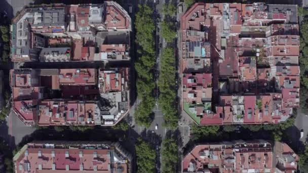 Dachy Widoki Miasto Barcelony Lotu Ptaka — Wideo stockowe